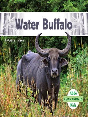 cover image of Water Buffalo
